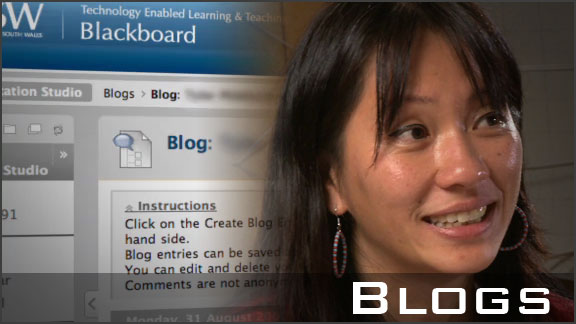 Using Blogs for peer feedback and discussion